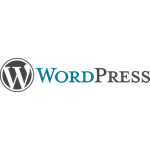 WordPress Website and blog CMS