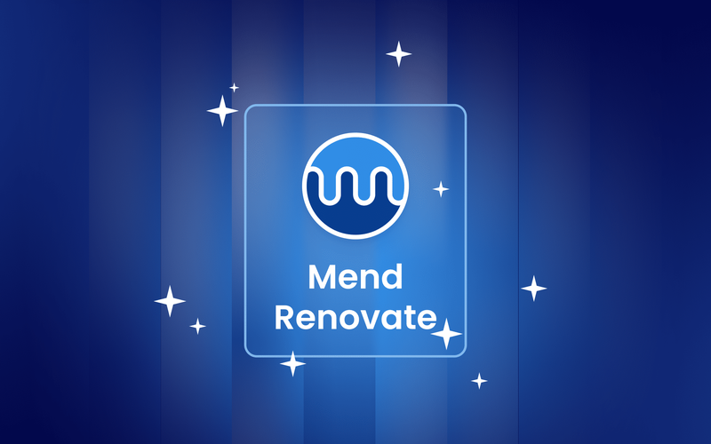 Managed Renovate Bot hosting